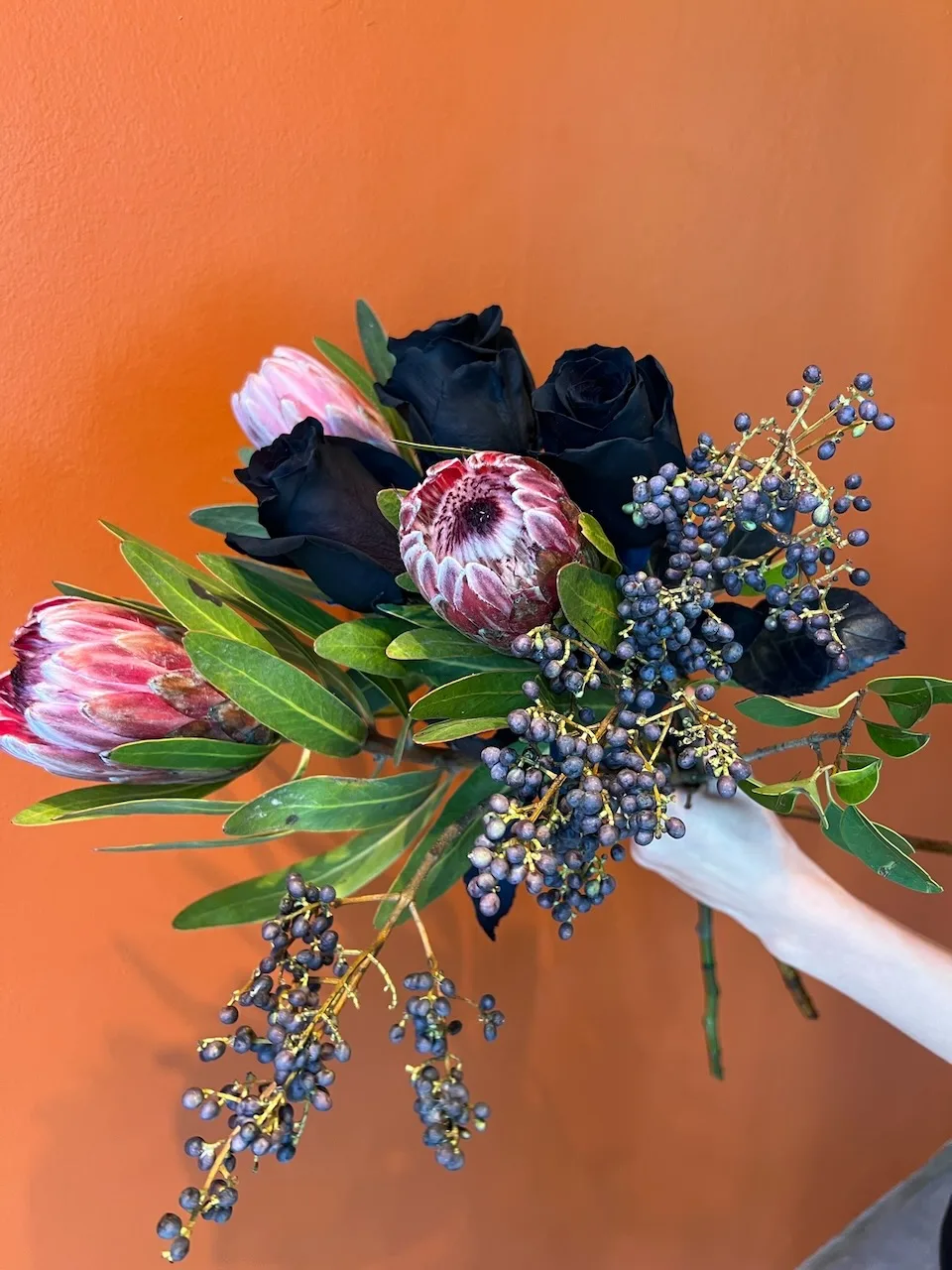 Moody bouquet of black roses, pink proteas and blue berries against the orange wall
