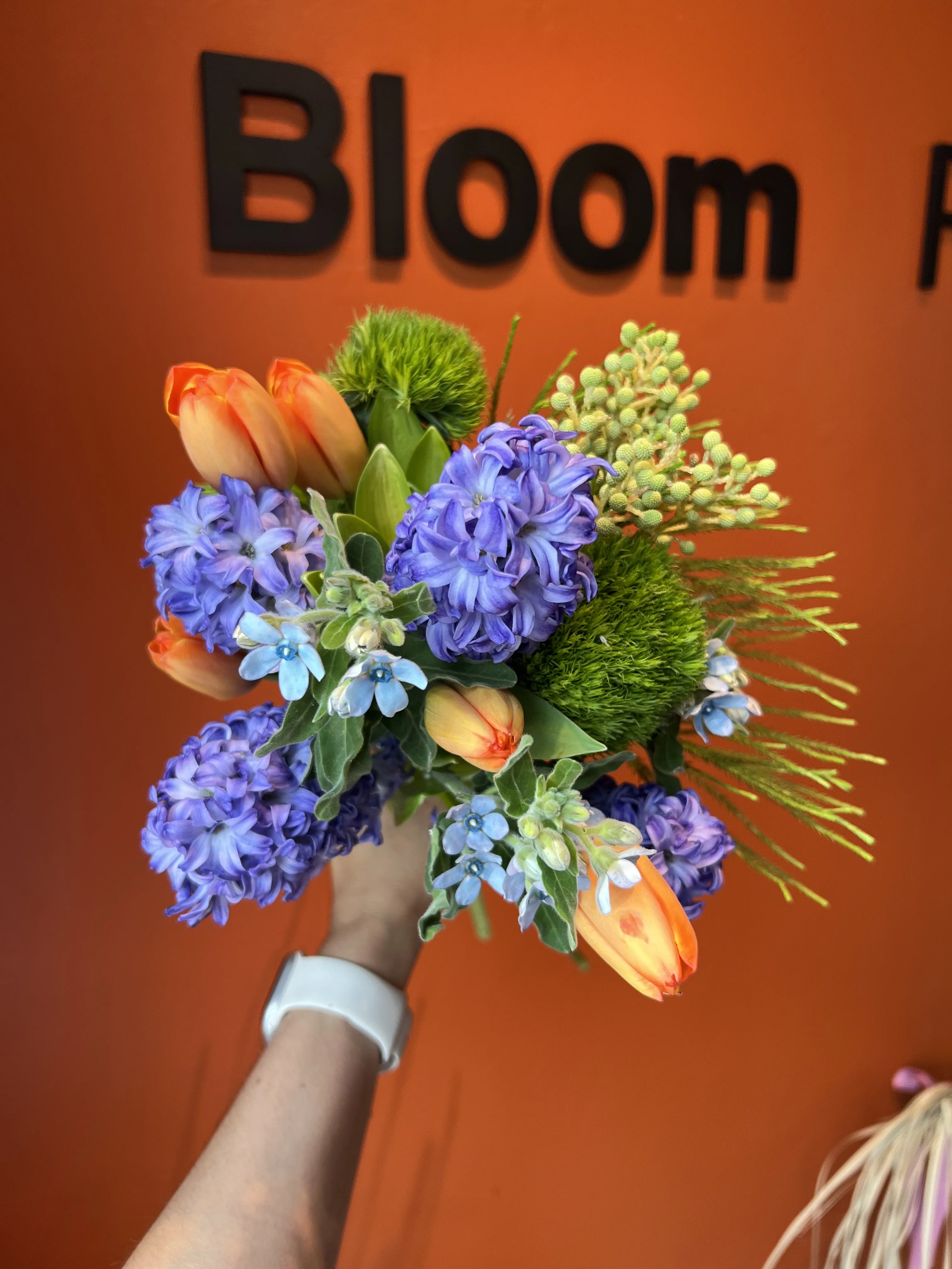 Compact bouquet of purple hyacinth, orange tulips and blue tweedia against the orange wall