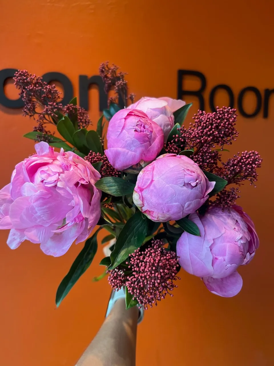 Hand-held bouquet of pink peonies paired with rosy skimmia berries against the orange wall