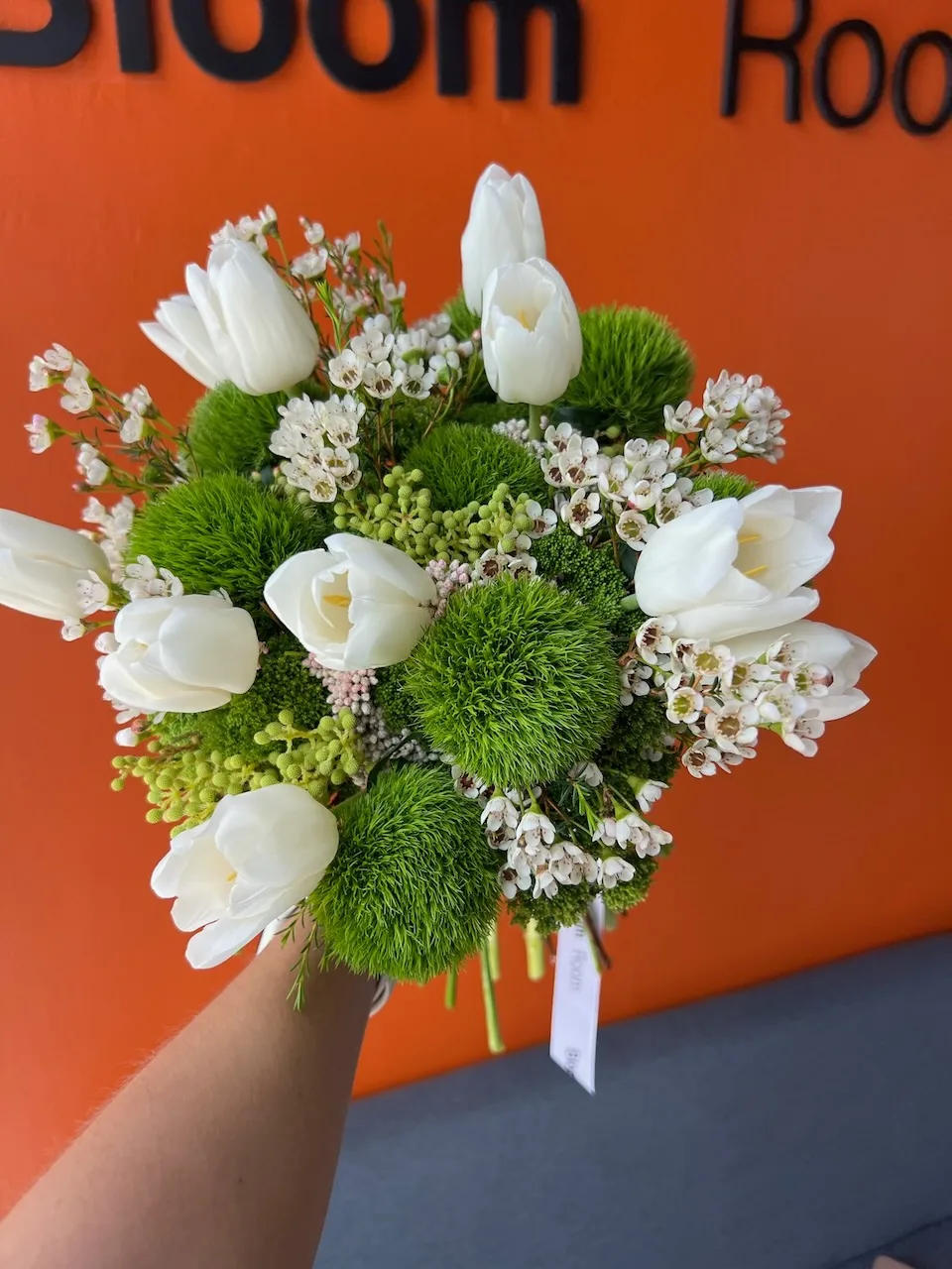White tulips and green dianthus with waxflower bouquet held against orange wall