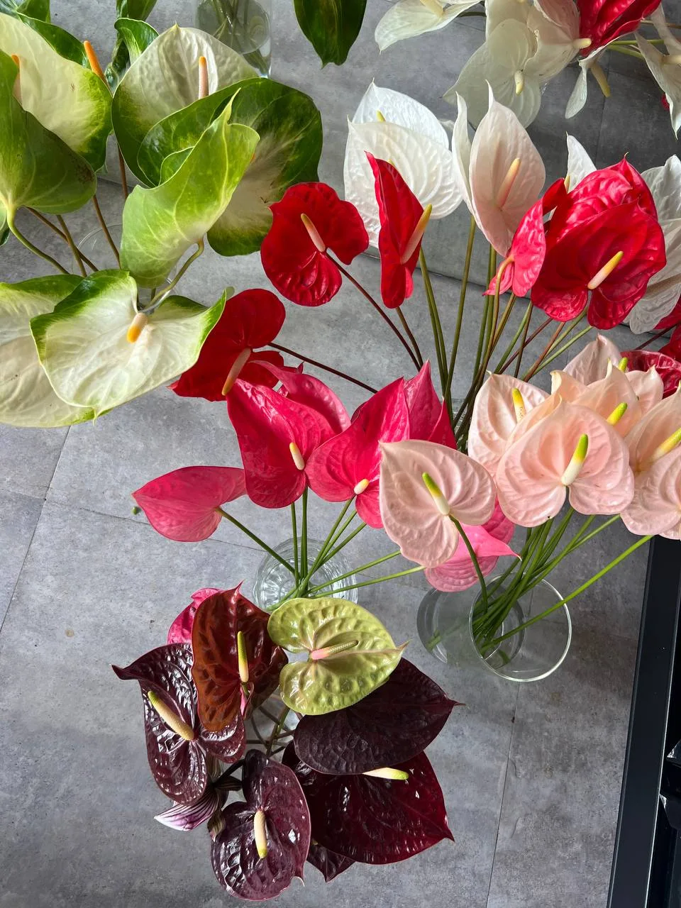 Island Bloom — signature arrangement